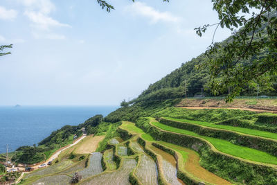 Daraengi village is a famous rice terrace built on the hill top. namhae, south korea