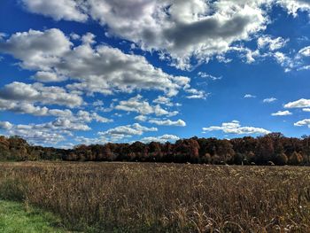 Scenic view of field against sky