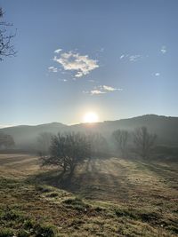 Scenic view of field against bright sun
