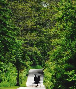 Rear view of people walking in park