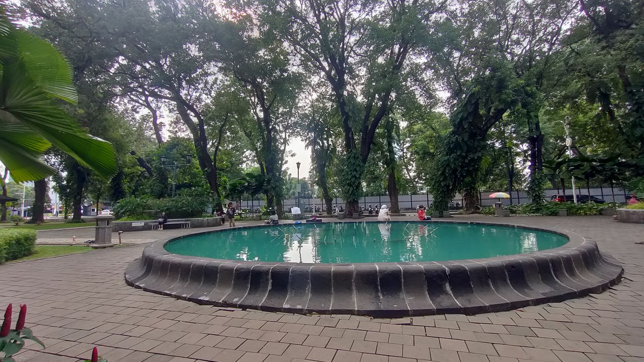 tree, plant, swimming pool, water, backyard, nature, estate, growth, reflecting pool, day, no people, outdoors, fountain, park, green, architecture, water feature, park - man made space, tranquility, travel destinations, garden