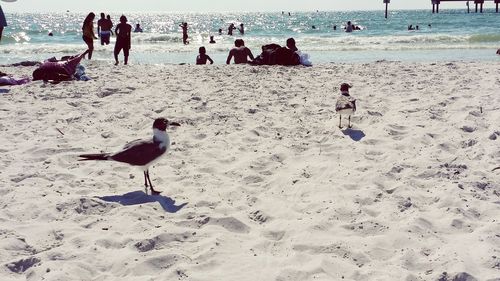 People on beach