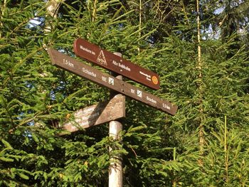 Close-up of information sign against trees