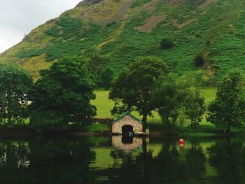 Reflection of trees in lake