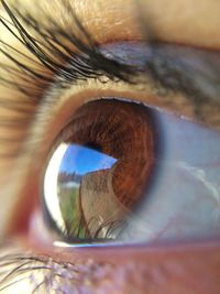 Extreme close-up of eye
