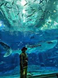 Fish swimming in aquarium