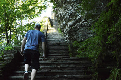 Low angle view of stairs