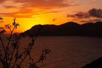 Scenic view of sea against orange sky