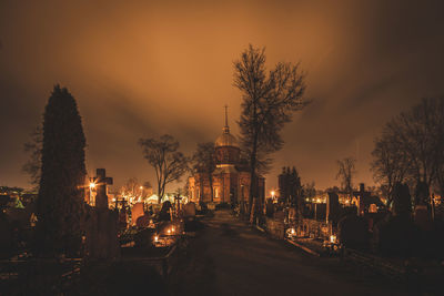 Illuminated trees and buildings against sky at night