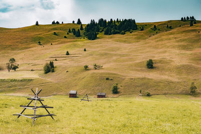 Cottage and pine trees in front of hill