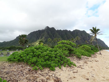 Scenic view of sea against cloudy sky