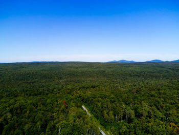 Scenic view of landscape against clear blue sky