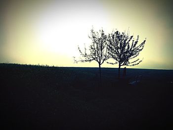 Silhouette of bare trees on landscape at sunset