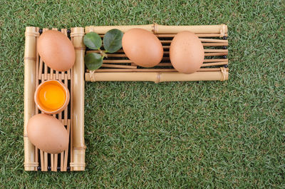 Eggs on grass