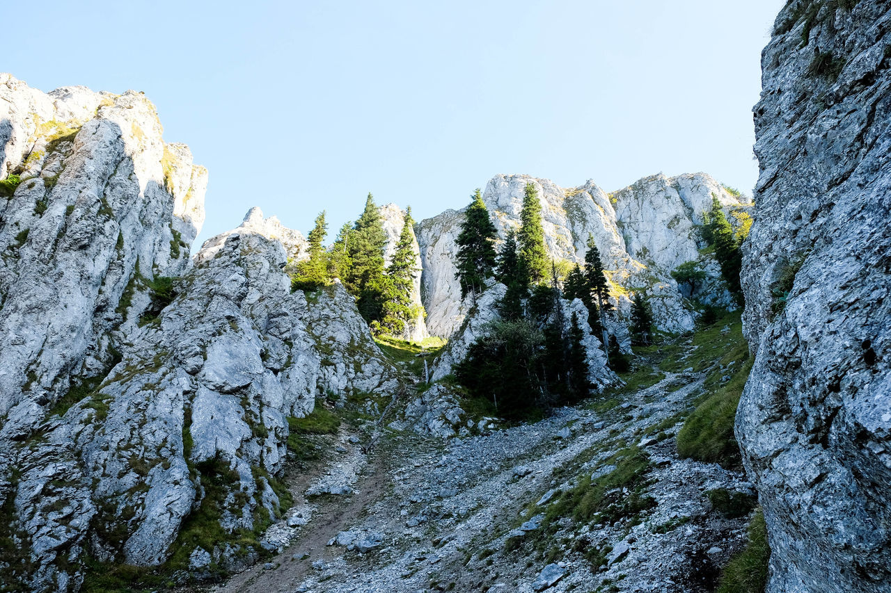 SCENIC VIEW OF MOUNTAINS AGAINST CLEAR SKY