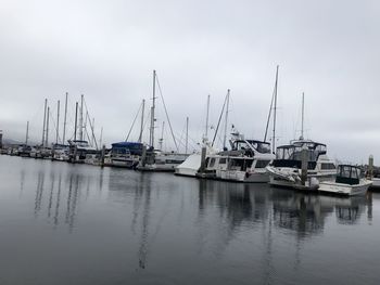 Sailboats moored in harbor