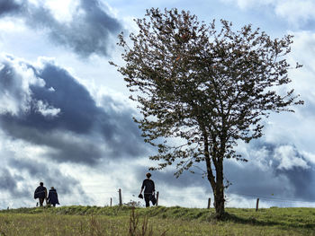 Scenic view of grassy field against cloudy sky