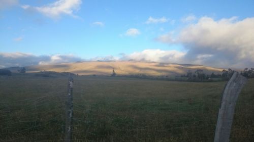 Scenic view of grassy field against sky