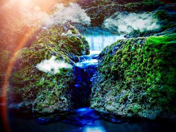 Scenic view of waterfall in forest