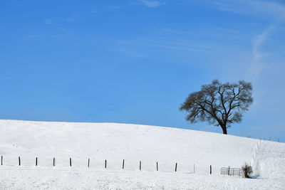 Scenic view of snow covered land against blue sky