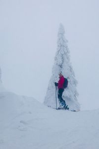 Woman skiing on snow