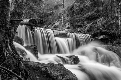 Scenic view of waterfall in forest