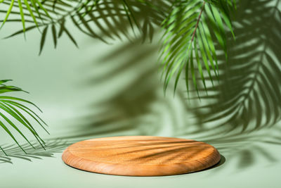 Close-up of heart shape on plant