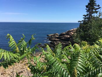 Scenic view of sea against clear sky