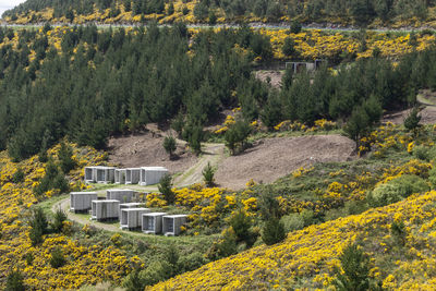 High angle view of trees in forest during autumn