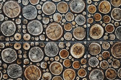 Full frame shot of logs in forest