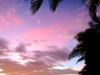 Low angle view of silhouette palm trees against sky