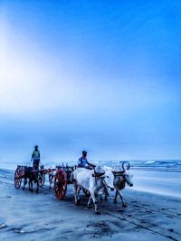 People riding horse cart against sky