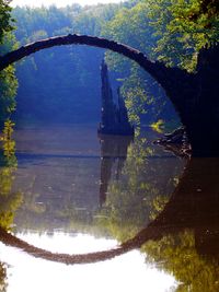 Reflection of trees in water