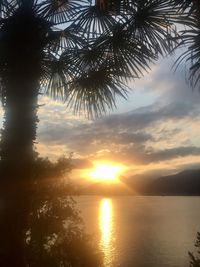 Silhouette palm trees by sea against sky during sunset