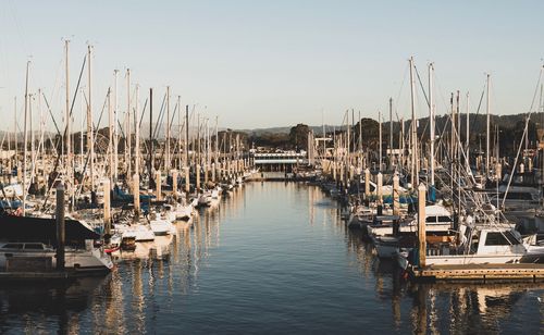 Boats moored at harbor against clear sky