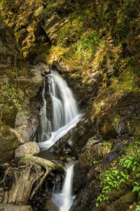 Scenic view of waterfall in forest