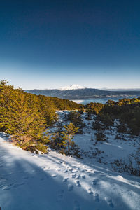 Scenic view of sea against clear sky