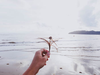 Close-up of hand holding sea against sky