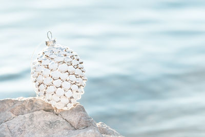 Close-up of white rock on sea shore