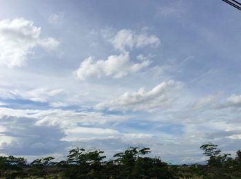 Low angle view of trees against sky