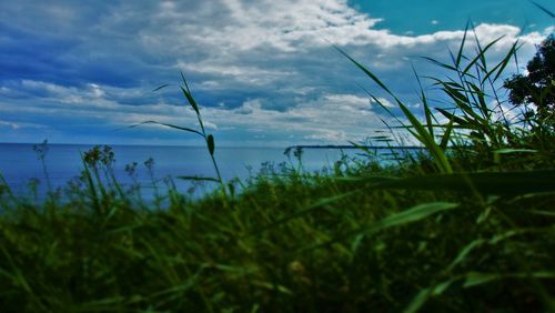 Scenic view of landscape against sky