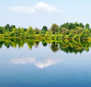 Reflection of trees in lake against sky
