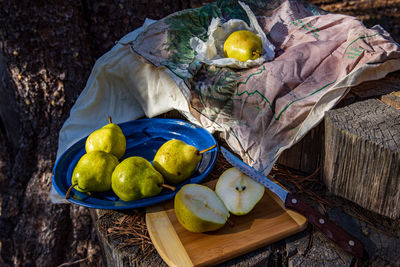 Still life with pears on tree stump in forest morning