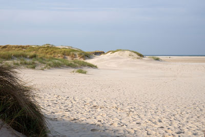 Beach at the coastline of amrum, north frisia, germany