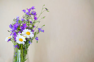Close-up of purple flowers in vase against wall