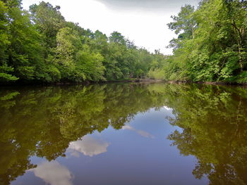 Reflection of trees in lake