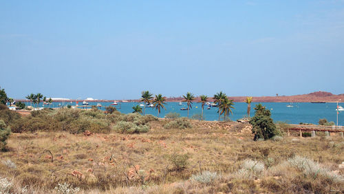 Scenic view of sea against clear blue sky