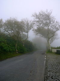 Wet road by trees against clear sky