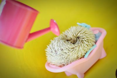 Toy watering can over hedgehog in small bathtub on table