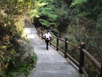 Rear view of woman walking on footpath